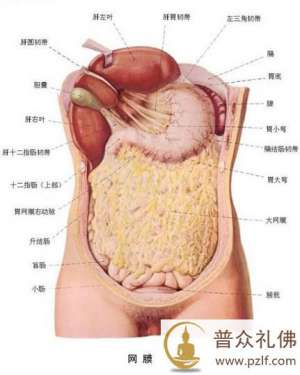 思惟略要法--不净观